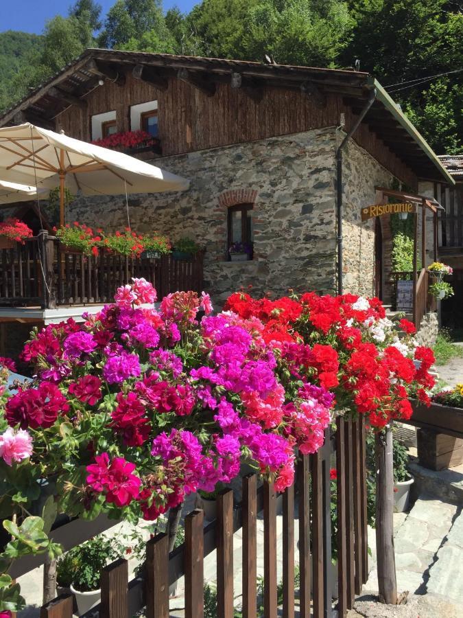 B&B Vinicola23 Limone Piemonte Bilik gambar
